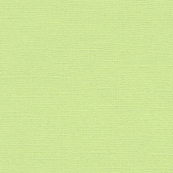 My Colors Canvas Cardstock: Lime Pop