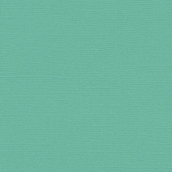 My Colors Canvas Cardstock: Spearmint