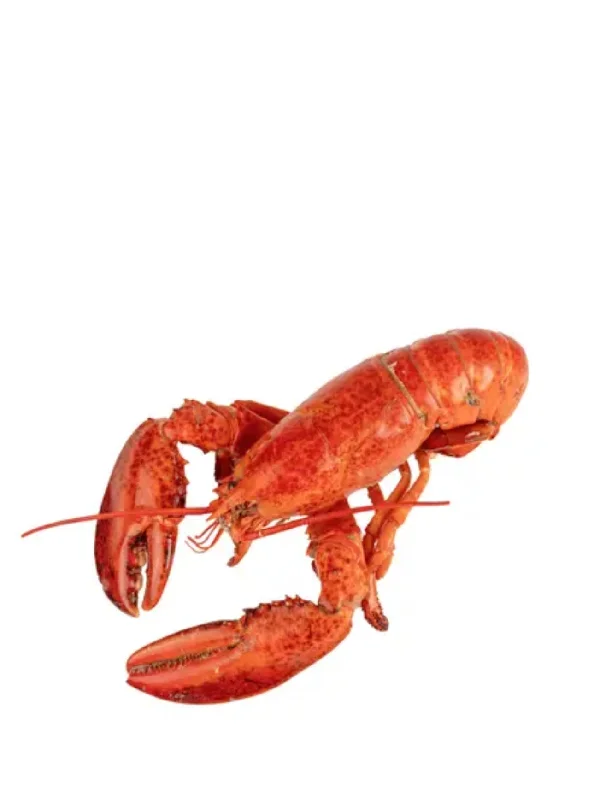 FROZEN WHOLE COOKED BOSTON LOBSTER 300/500G