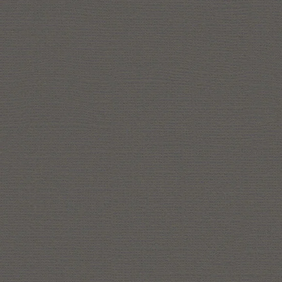 My Colors Canvas Cardstock: Cloak Gray