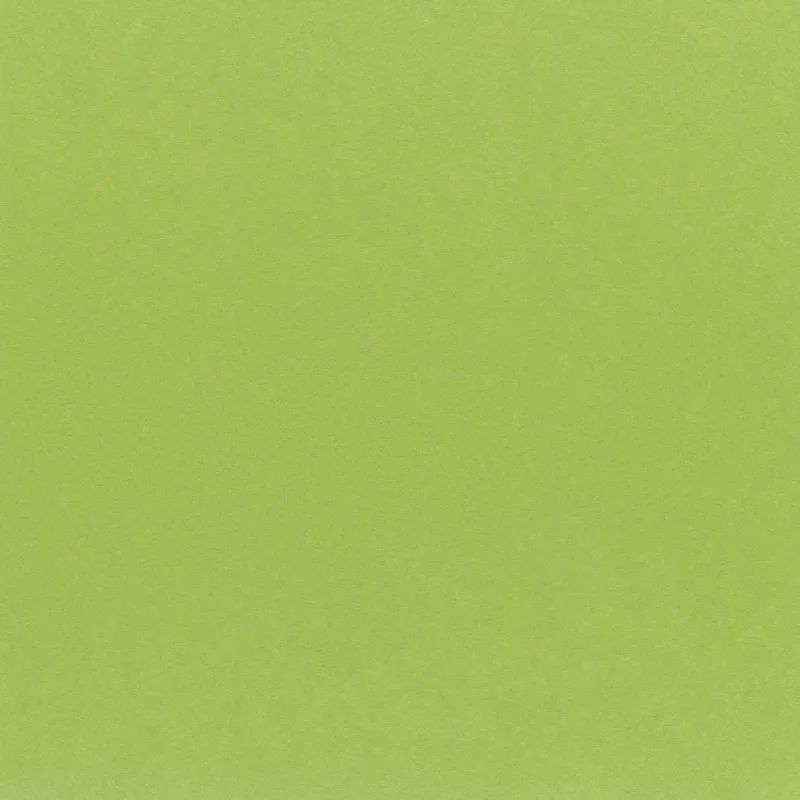 My Colors Classic Cardstock: Key Lime