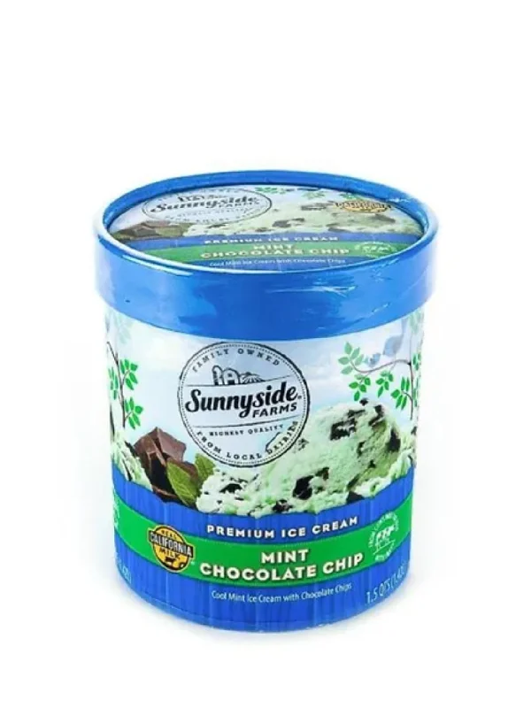 SSF RND MINT CHOC CHIP 48OZ