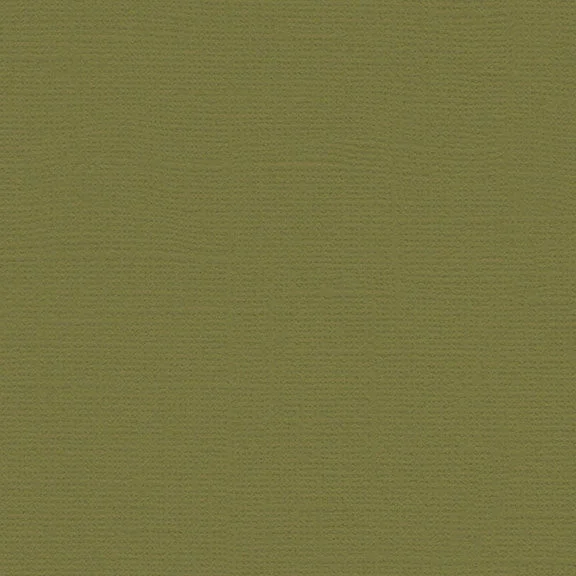 My Colors Canvas Cardstock: Grasshopper