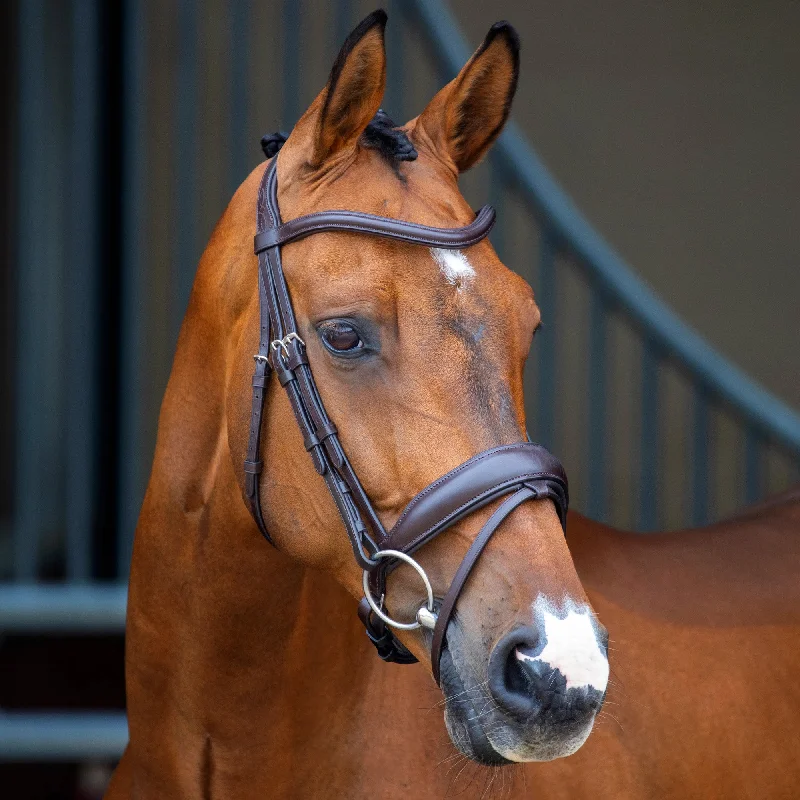 Shires Lusso Dressage Flash Bridle - Havana