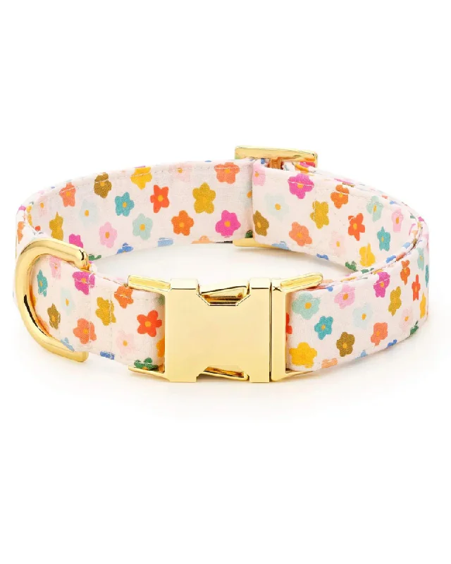 9. **Cat clothes cute model**Rainbow Flower Dog Collar (Made in the USA) (FINAL SALE)