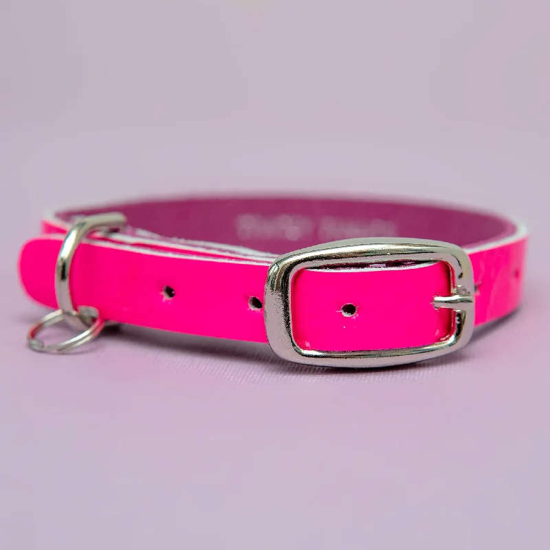 9. **Cat clothes cute model**The Cleo Leather Tag Collar in Neon Pink Patent (DOG & CO. Exclusive)