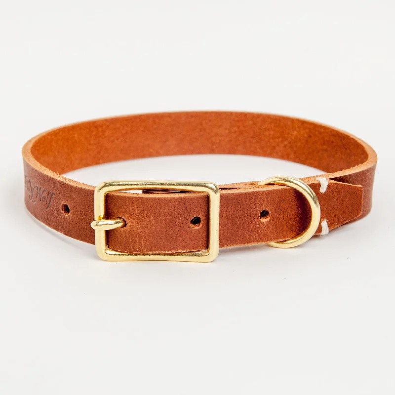 10. **Cat collar bell model**Rambler Leather Dog Collar in Terra