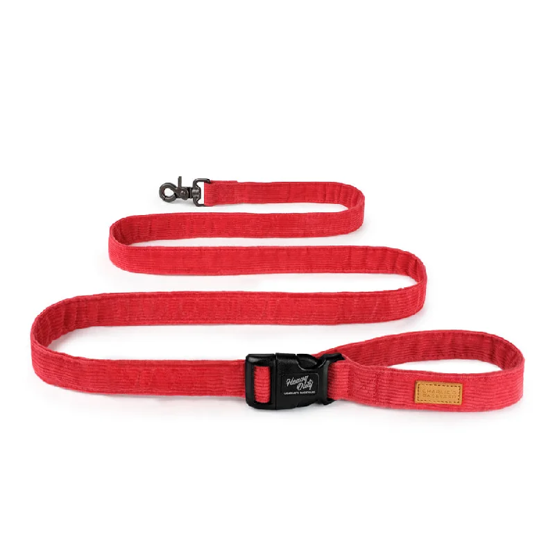 2. **Cat toy cat teaser**CHARLIE'S BACKYARD | Field Leash in Red