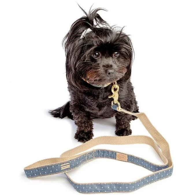 8. **Dog snack bag is portable**FINNEGAN'S STANDARD GOODS | Denim Pin Dot Lead