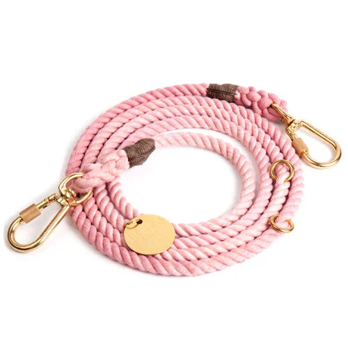 5. **Dog toy sound ball**Adjustable Rope Dog Lead in Blush